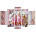 5 stykke lærredsprint Pink Flower Orchid