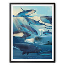 Plakat Brown - Wieloryby