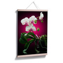 Poster - Floraison  d'une orchidée
