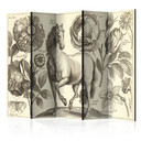 Screen room divider - Hest, 5-delt - 225x172 cm