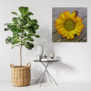 Canvasbillede, gul solsikke