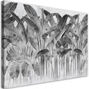 Canvasbillede, Grå bananblade