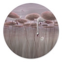 Wanddecoratie lotusbloemen met zwaan in water in schemerroze - Ms Tiff - Alu-Dibond Rond