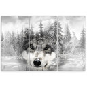3 stykke lærredsprint, Wolf Forest Nature Grey