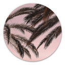 Tableau sur alu-Dibond rond 1X Studio - Palmiers