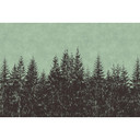 Fotomural Paredes de Patel bosque negro 2