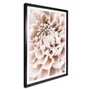 Plakat 1X Studio - Chryzantema