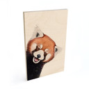 Plakat drewniany Czerwona Panda - Korenkova