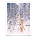 Plakat Winter Fawn