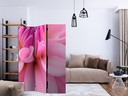 Paravent Séparation de pièce - Pétales de fleurs - Dahlia, 3 pièces
