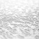 Papier peint intissé couvrant A.S. Création Meistervlies Pro Protect 2 blanc, couvrant