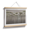 Poster lotusbloemen met zwaan in water in grijs - Ms Tiff