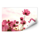 Muurprints Roze Bloemen