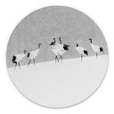 Tableau sur alu-Dibond rond Marchegiani - Des grues dans la neige