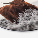 Vægcirkel van den Helm - Highlander – print på aluminium (Alu-Dibond)
