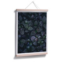 Plakat Botaniczny kontrast