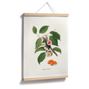Luźny plakat - fabryka sushi