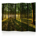Screen room divider - Morgen i skoven, 3-delt