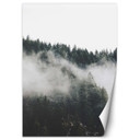 Fototapete, Wald im Nebel Bergen