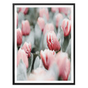 Plakat Annie - Wiosenne tulipany