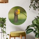 Muursticker Rond Dick van Duijn - Eekhoorn met Bloem