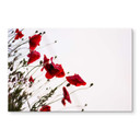 Spritzschutz - Minimalistic Poppies