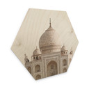 Hexagone - Bois Annie - Taj Mahal