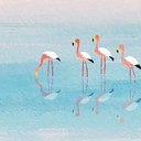 Fototapet Pastellfärgad sjö med flamingos - Rivers