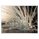 Plakat Zahirimehr - Historia kropli wody - Waterdrops