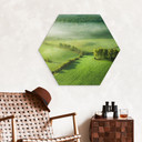 Hexagon Wandbild Idyllische Felder im Nebel - Keller - Alu-Dibond