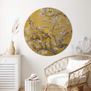 Sticker mural van Gogh - Fleurs d'amandier ocre - Rond
