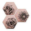 Hexagon Dibond Set Koper Effect - Kools - Flowers