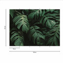 JungleLeaves jungle tapet i sort grøn - non-woven tapet Designwalls 2 - 2,55 x 3,5 m