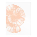 Plakat Peach Fuzz - Abstrakcyjna powłoka w brzoskwiniowych kolorach - Martina