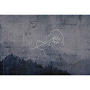Architects Paper Papier peint photo Atelier 47 Silver Outline forêt