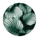 Plakat Urban Jungle - Calathea Orbifolia - Okrągły