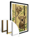 Plakat Brown - Koala