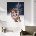 Billede af sibirisk tiger i sneen - van Duijn – print på aluminium (Alu-Dibond)