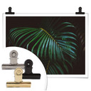Plakat Botaniczny 04