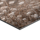 Wandbild Zarte Gräser im Herbstlicht - Collins - Alu-Dibond