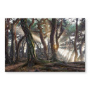 Wandbild Heiliger Kiefernwald - Ryu - Alu-Dibond