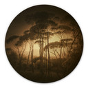 Dibond Schilderij met goud effect Parasoldennen in Italiaans Landschap - Sepia