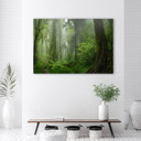 Canvasbillede, Tropisk jungle