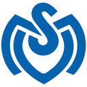 Wandtattoo MSV Duisburg Retro Logo