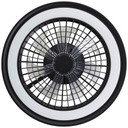 Deckenventilator mit LED-Licht Malea, schwarz, Deckenleuchte
