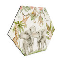 Hexagon Dibond Dyr i den tropiske jungle - UN Designs