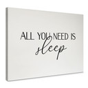 Obraz na płótnie All you need is sleep