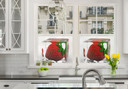 Truskawkowa kostka lodu z folią zapewniającą prywatność - kwadratowa