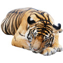 Sticker mural - Tigre réel au repos