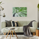 Tableau sur verre Pavlasek - Cime des arbres verts